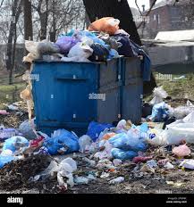 Best Hoarding Cleanup  in Bradley, WV